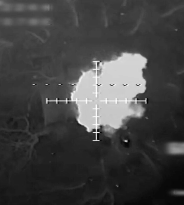 За ніч спецпризначенці СБУ &quot;Білі Вовки&quot; знищили 10 танків та ворожий БТР на Донецькому напрямку. ВIДЕО