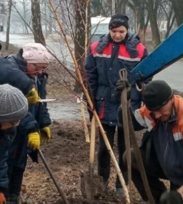 У Полтаві висадили 40 дерев