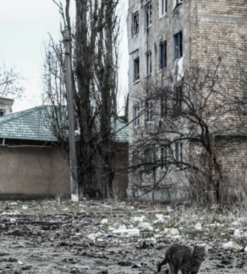 Російські військові обстріляли селище Нью-Йорк на Донеччині – ОВА