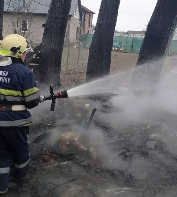 У Дніпровському районі у сараї живцем згоріли кози