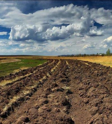 Поля, де були бойові дії, потребують досліджень