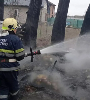В пожаре на Днепропетровщине сгорели козы