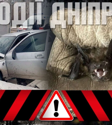 Дивовижний порятунок, непрохані гості та інші новини Дніпра 19 березня в одному відео
