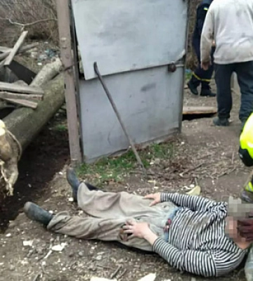 В Кривом Роге мужчину придавило деревом