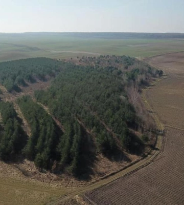 На Рівненщині з повітря контролюють ситуацію в екосистемах області, аби уникнути пожеж