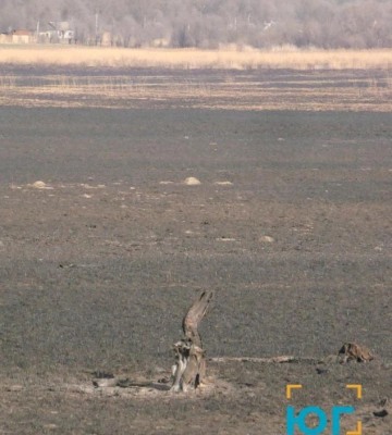 В екосистемі на околиці Рені сталася масштабна пожежа, ледь не постраждали житлові будинки