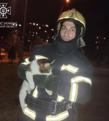 В Одесі працівники ДСНС врятували кота