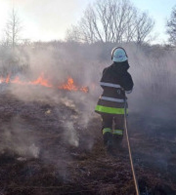 Впродовж вихідних в Києві та області сталося 10 пожеж в екосистемах, – ДСНС