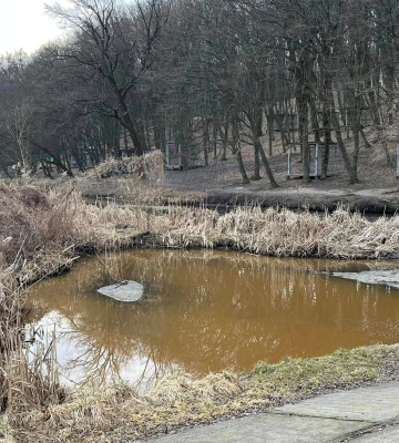 В Голосеевском парке Киева озеро изменило цвет: в чем причина