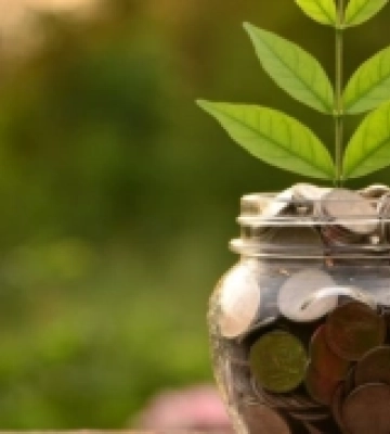 На охорону довкілля у Луцькій громаді витратять 2,7 мільйонів гривень