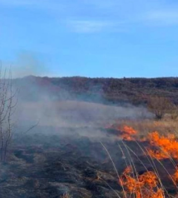 Вогнеборці ліквідували 18 пожеж сухостою на Львівщині (ФОТО)