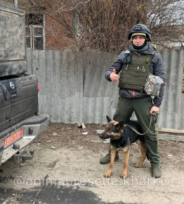 Харківські волонтери евакуюють тварин із зон бойових дій 