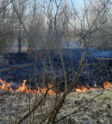 На Рівненщині рятувальники ліквідували дві пожежі сухої трави