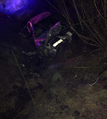 На Львівщині загинув водій Тойота Авенсіс: авто з&#039;їхало в кювет