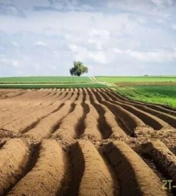 На Житомирщині за втручання прокуратури припинено незаконне користування земельною ділянкою площею 12 га