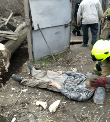 Жителя Кривого Рогу ледь не вбило дерево (ФОТО)
