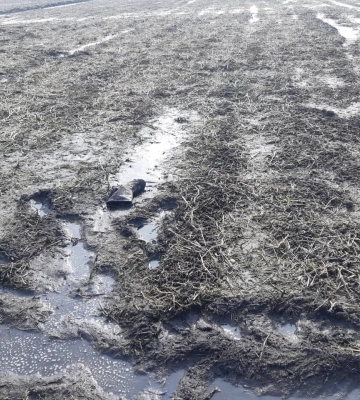 На Рівненщині виявили мертвого чоловіка: його раніше шукали