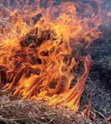 Минулої доби в області зафіксували 11 пожеж на відкритій території
