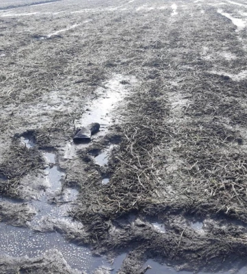 Зниклого жителя Острога знайшли в полі на хуторі мертвим