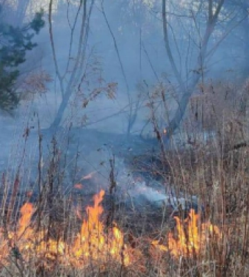 За добу на Львівщині ліквідували 39 пожеж сухої трави