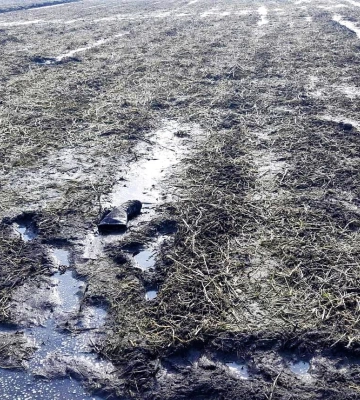 На Рівненщині виявили мертвого чоловіка: його раніше шукали