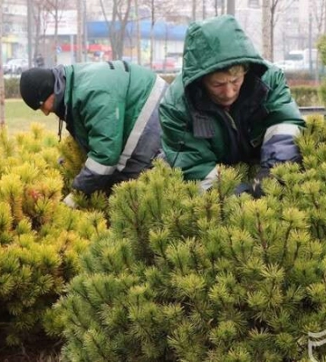 #ЧистийДніпро: у парках міста прочісують газони, обрізають гілки та прибирають територію від сміття