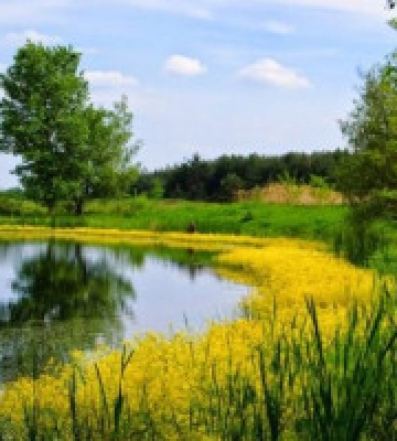 На Київщині буде більше заповідників