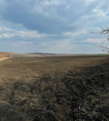 За втручання прокуратури Ананьївській громаді повернули 78 га сільськогоспземель