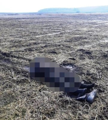 В Ровенской области обнаружили труп пожилого мужчины