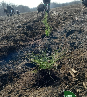 На Миколаївщині відзначили Всесвітній день лісів
