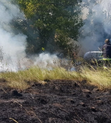 На Харківщині сталося вісім пожеж в екосистемах – почали палити сухостій
