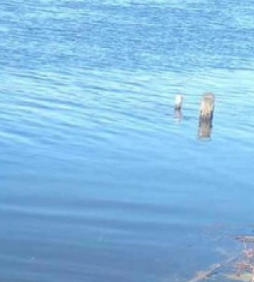Поліція Полтавщини встановлює особу жінки, тіло якої виявлено в річці Псел