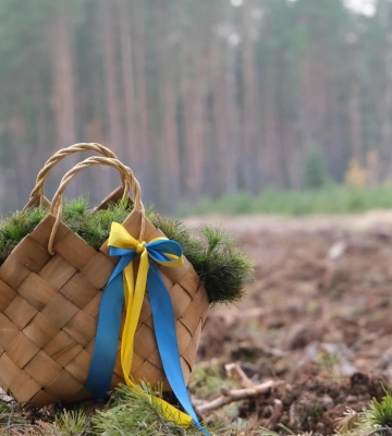 На Рівненщині висадили майже півтора мільйона саджанців майбутнього лісу