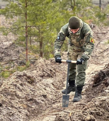 На Житомирщині висадили більше мільйона сіянців нових дерев