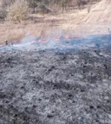 Під Луцьком сталась масштабна пожежа – показали відео з дрона