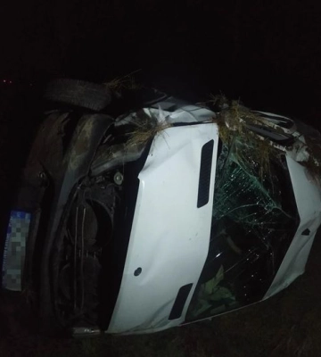 Поліціянти встановлюють особу загиблої жінки-пішохода на Львівщині