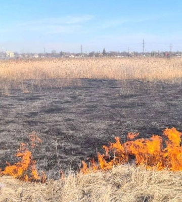 На Полтавщині за добу вигоріло понад 10 гектарів сухої трави