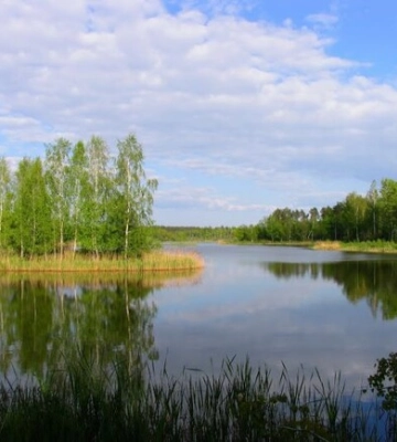 В Київській області з&#039;явиться 13 нових заповідників: де саме