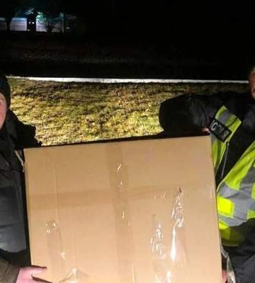 Потрапила під колеса авто: поліцейські Київщини допомогли врятувати поранену зайчиху