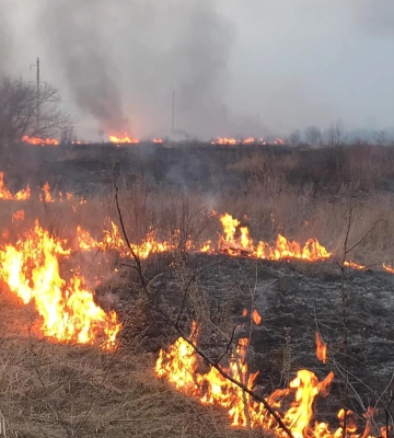 На Полтавщині за добу вигоріло понад 10 гектарів сухої трави