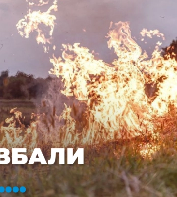 Мешканець Полтавщини влаштував пожежу вздовж дороги, бо його задовбали кліщі