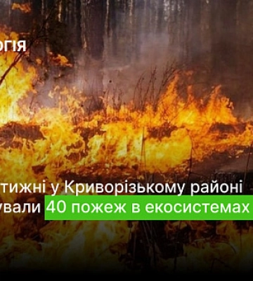 За две недели в Криворожском районе зафиксировали 40 пожаров
