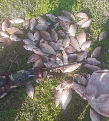 На Криворіжжі чоловік незаконно виловив карасів на понад 130 тисяч гривень
