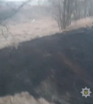 Неподалік Миргорода чоловік підпалив суху траву вздовж дороги