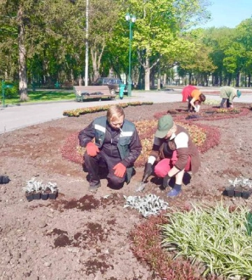 Квіти в Харкові висадять, фішкою міста завжди були яскраві клумби – Терехов