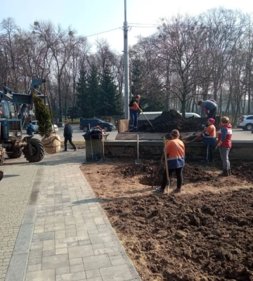 У Полтаві висаджують туї та магнолії у сквері Григорія Сковороди