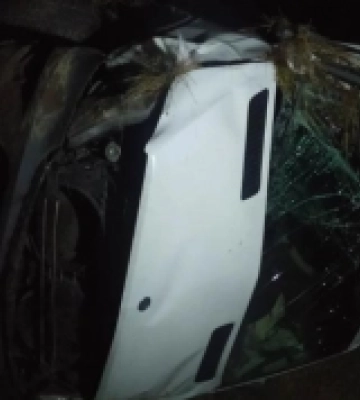 На трасі Львів-Ужгород сталася смертельна аварія: загинула жінка