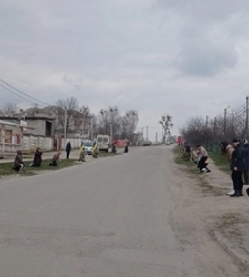 На Волині бізнесмен вирубує 40-річний ліс. Фото. Відео