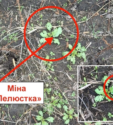 Харків’ян просять утриматися від відвідування міських кладовищ та меморіалів