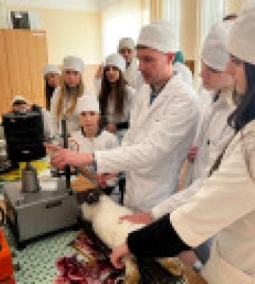 Проводил эксперимент на живом кролике: преподавателя НУБиП обвиняют в жестоком обращении с животными во время занятий